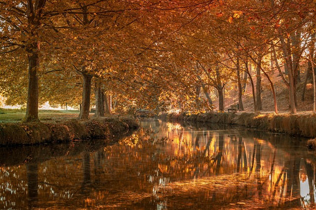 OpenAI Compra el Programa ‘TBPN’: Una Apuesta por Reescribir la Narrativa de la IA